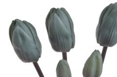 Svazek tulipánů s listy, 5 ks (3 květy + 2 poupata) 46 cm, barva 03