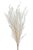 Svazek Melaleuca bracteata -100g WHITE preparované