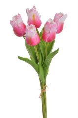 Tulipán papouščí 5 ks ve svazku s listy, 32 cm, barva 15