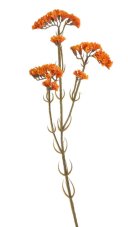 Podzimní květina umělá kvetoucí statice dl. 62cm