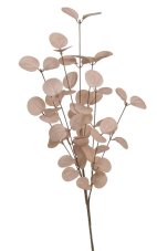 Větvička eukalyptu - pěna, 65 cm