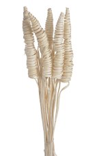 Sušená dekorace Cane Cone Mini 30 cm – bělená, 25 ks