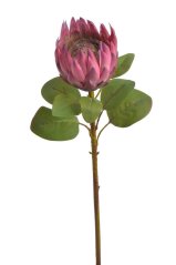Umělá kvetoucí protea Ø15cm/ dl.67 cm