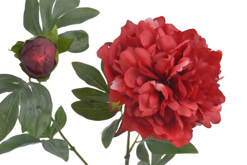 Umělá pivoňka s květem a poupětem, květ Ø13cm/dl.70cm