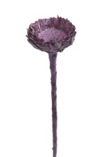 Přírodní dekorace Coronata rosette FROSTED BROMBEER  dl. 26cm - 6ks