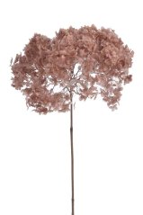 Přírodní preparovaná hortenzie, hlavička Ø 20cm dl. celkem 62cm - 1-2ks