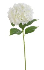 Umělá hortenzie s listy, hlava Ø 25cm, dl.80cm