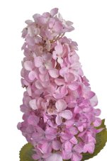 Umělá kvetoucí hortenzie dl. 84cm