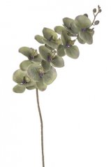 Lata umělých orchidejí, květ Ø10cm/dl.90cm