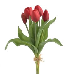 Svazek gumových tulipánů, hlavička 4,5cm, dl. celkem 30cm
