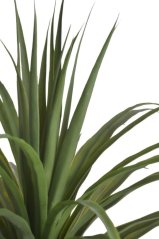 Umělá rostlina dracena v květináči,  květináč Ø 17,5cmx13,5cmH, výška celkem  118cm