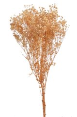 Přírodní gibsophila preparovaná dl. 73cm - 120g CREAM