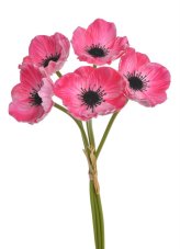 Svazek květů anemone na stonku dl. 29cm - 5 ks