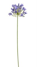 Umělá květina kvetoucí agapantus  dl. 72cm