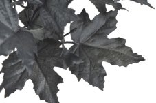 Kytice umělých javorových listů x7 34 cm – černá