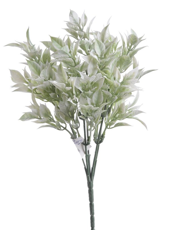 Ruskus zápich 30 cm, 5 větviček, barva 17