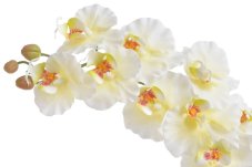 Umělá orchidej krémová 95 cm