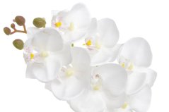 Umělá lata orchideje s 7 květy, květ 9 cm, dl. 66 cm