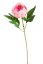 Umělá pivoňka na stonku s listy, hlavička jako živá, hlavička Ø 9cm, dl.58cm