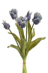 tulipán papouščí guma 3+2 svazek