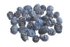 Přírodní dekorace Salignum FROSTED LAGOON Ø 2.5cm - 200g