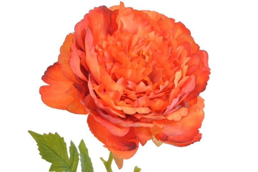 Umělá rozkvetlá pivoňka - květ Ø 10 cm, dl. 66cm