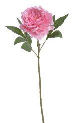 Umělá pivoňka na stonku, hlavička Ø12cm/dl.56cm
