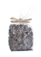 Přírodní materiál Casurina Tip Painted Bag 1-3cm - 200gr