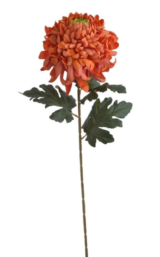 Chryzantéma na stonku s listy, 73 cm