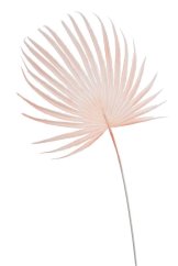 Umělý barvený list palmy vel. 57cm