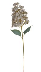 Umělá latnatá hortenzie hlava 25cm, dl.88 cm