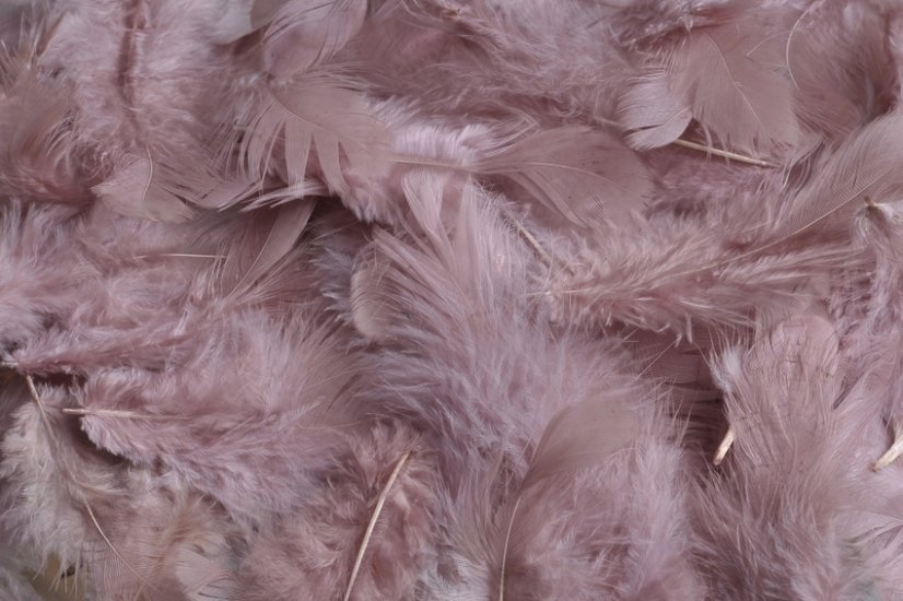 Přírodní barvené peří 7 - 12 cm, BEIGE_013