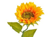 Umělá slunečnice žluto-oranžová 48 cm