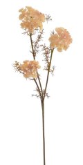Dekorace umělá kvetoucí větvička kopru dl.75cm