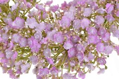 Plastový věnec z kvetoucích větviček Gypsophily  Ø 33 cm