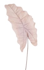 Dekorace umělý list alokacie dl. 53cm_11