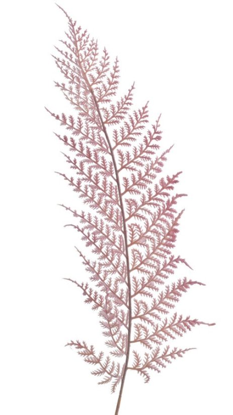 Umělý barvený list kapradí, dl. 57cm_19