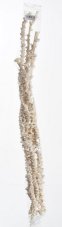 Přírodní bělená dekorace banana stem 40 - 60cm -  10ks