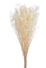 Přírodní preparovaná gybsophila 120g WHITE