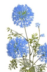Umělý kvetoucí česnek polní, květ Ø 8cm/dl. 78cm