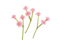 Dekorace umělé květy gipsofila 1cm/5cm - 80ks