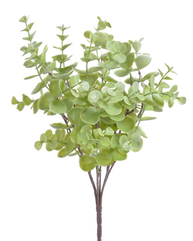 Eukalyptus 7 větviček, 33 cm, barva 03