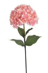 Umělá hortenzie, hlavička Ø 22cm. celkem dl.76cm