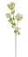 Větvička umělého kvetoucího kopru dl. 110cm