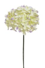 Divoký bez svazek 6 stonků s kvítky, dl. 22 cm, barva 03