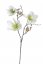 Umělá magnolie s listy - 3 květy Ø 18cm a 2 poupata dl. celkem  86cm