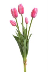 Svazek gumových tulipánů a poupat , hlavička 6,5cm, dl. celkem 46cm