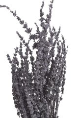 Přírodní preparovaná levandule 70g LT.PURPLE
