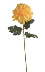 Chryzantéma na stonku s listy, 73 cm