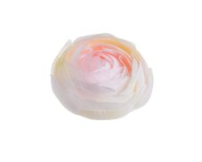 Umělý rananculus hlava Ø 6cm - 12ks